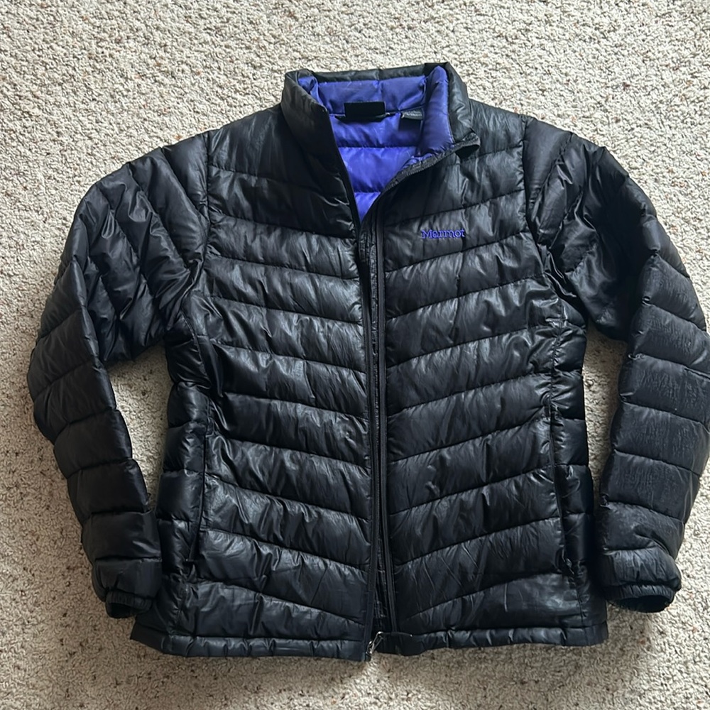Marmot puffer